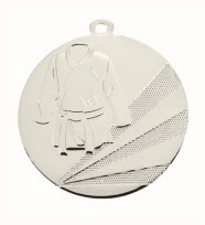 karate medaille zilver-p452