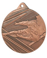 karate medaille.-p3