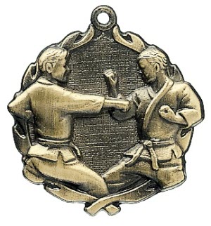 karate medaille goud