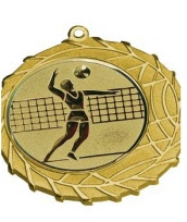 volleybal-p1